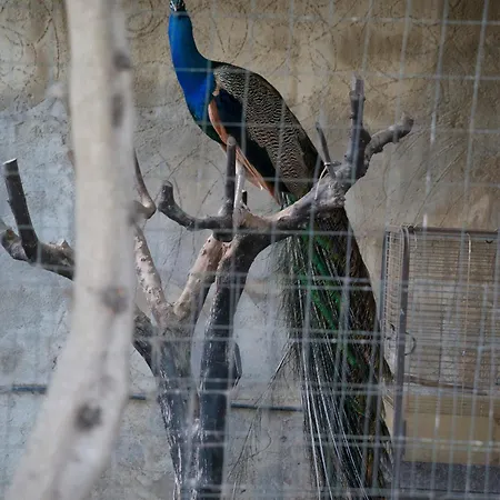 Eden Luxury Con Piscina E Jacuzzi Guest house