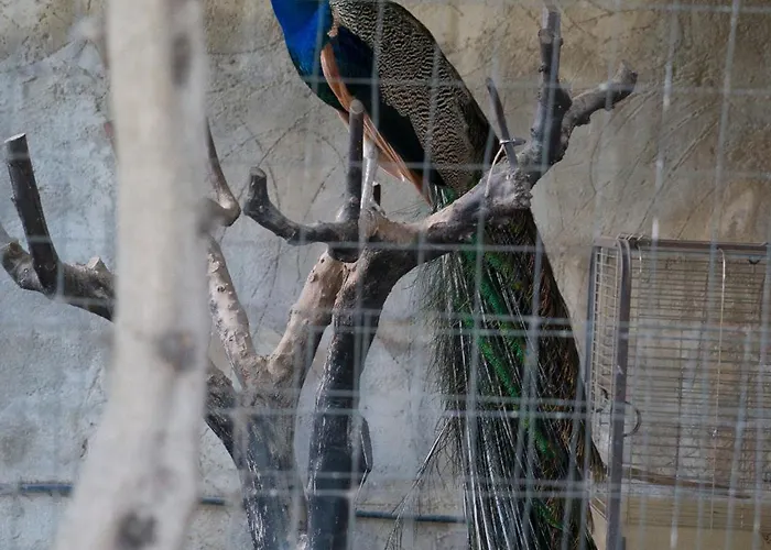 Eden Luxury Con Piscina E Jacuzzi Gasthuis